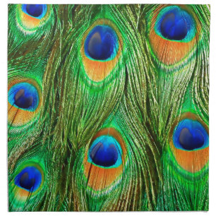 Colorful Peacock Feathers Print Napkin