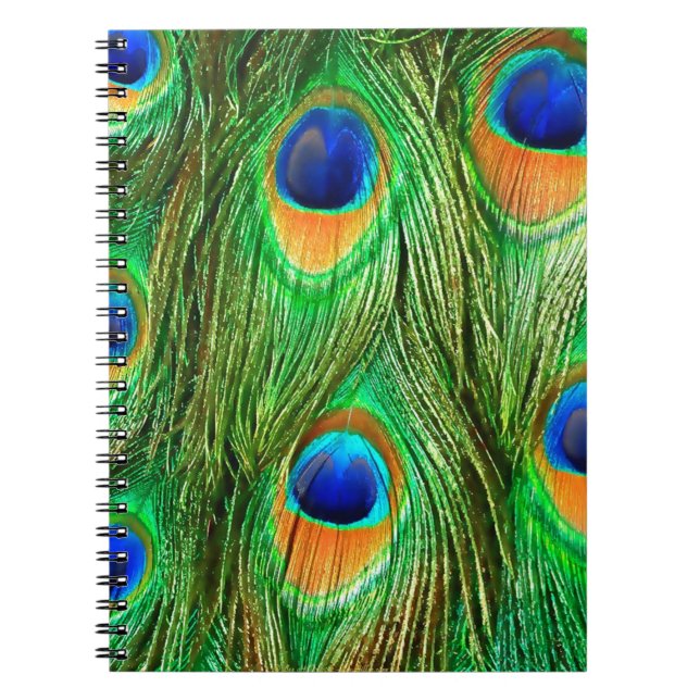 Colorful Peacock Feathers Print Notebook (Front)