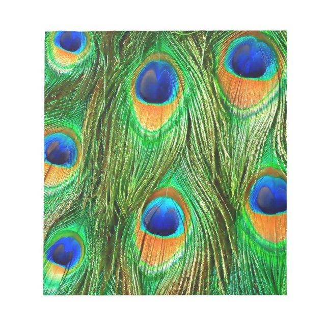 Colorful Peacock Feathers Print Notepad (Front)