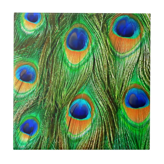 Colorful Peacock Feathers Print Tile (Front)