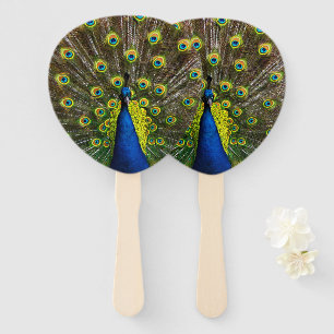 Colorful peacock hand fan