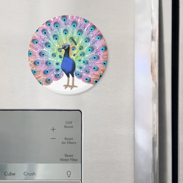 Colorful Peacock Illustration with Elegant Feather Magnet (In Situ (Fridge))