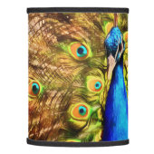 Colorful Peacock Lamp Shade (Left)