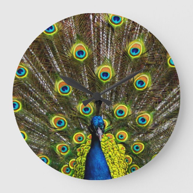 Colorful peacock large clock (Front)