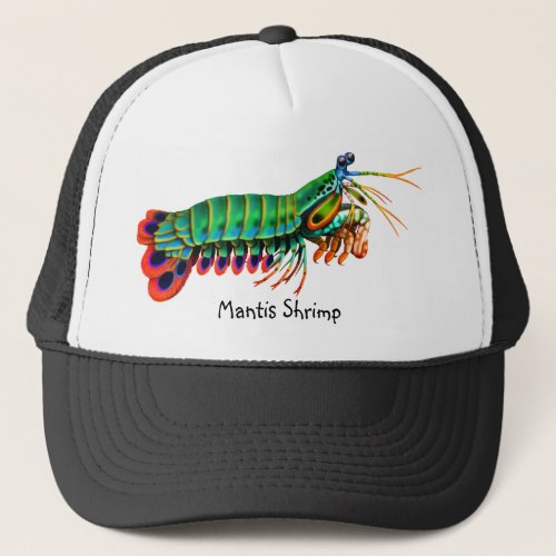 Colorful Peacock Mantis Shrimp Hat