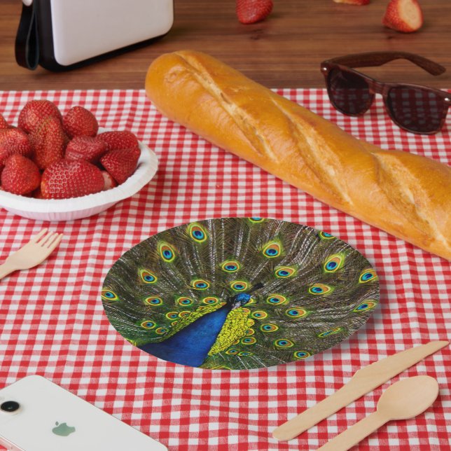 Colorful peacock paper plates (Picnic)