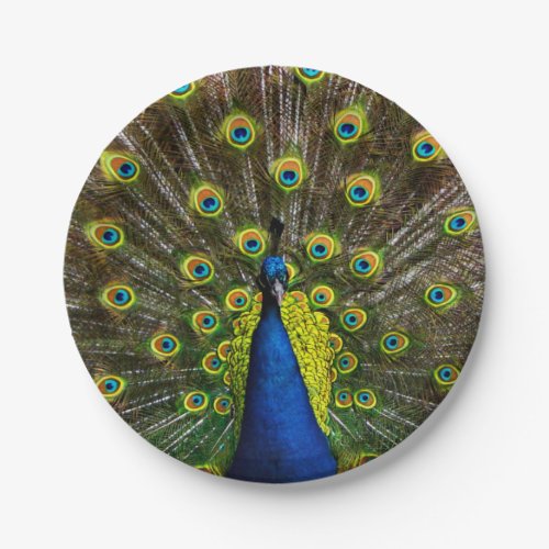 Colorful peacock paper plates