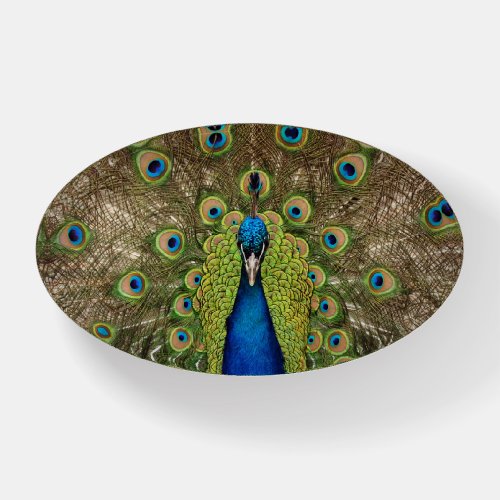 Colorful peacock paperweight