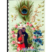 Colorful Peacock Photo Telephone Address Book (Front)