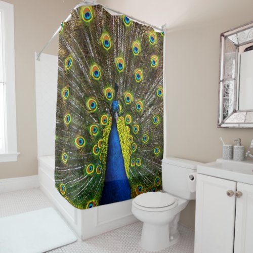 Colorful peacock shower curtain