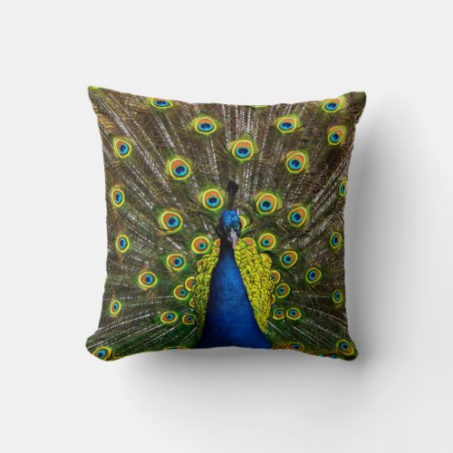 Colorful peacock throw pillow