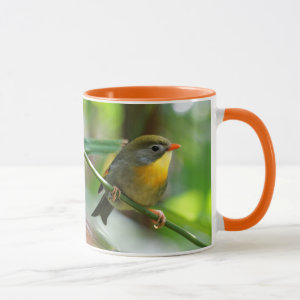 Colorful Pekin Robin Songbird on Branch Mug