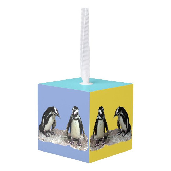 Colorful Penguin Birds Cube Ornament