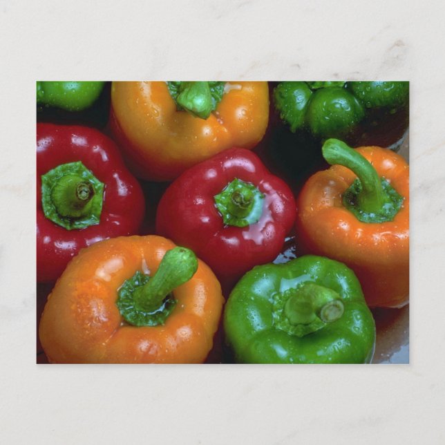 Colorful peppers, close-up postcard (Front)