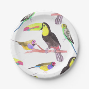 Colorful pet birds perched on a branch paper plates