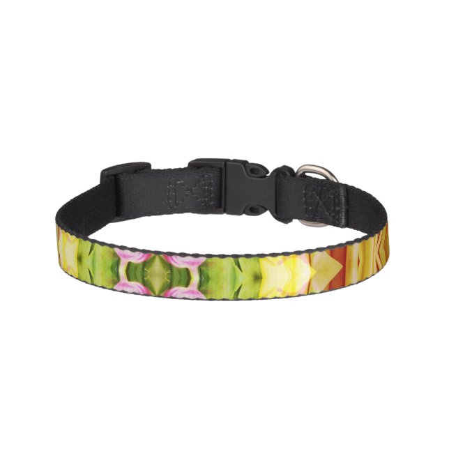 Colorful Pet Collar  - (Front)