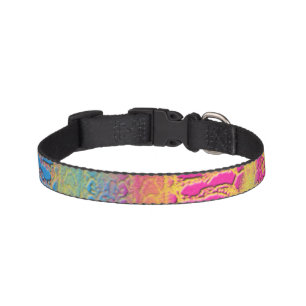 Colorful Pet Collar  -