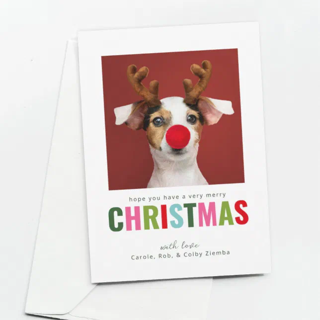 Colorful Pet Dog Cat Photo Christmas Card | Zazzle