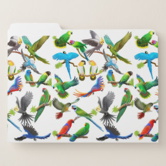 Colorful Pet Parrots File Folders
