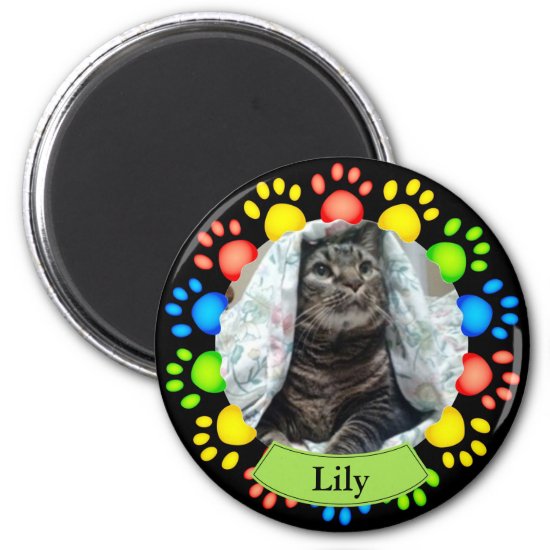 Colorful Pet Paw Prints Custom Magnet