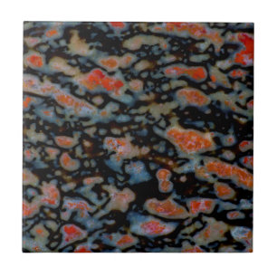 Colorful Petrified Dinosaur Bone Ceramic Tile