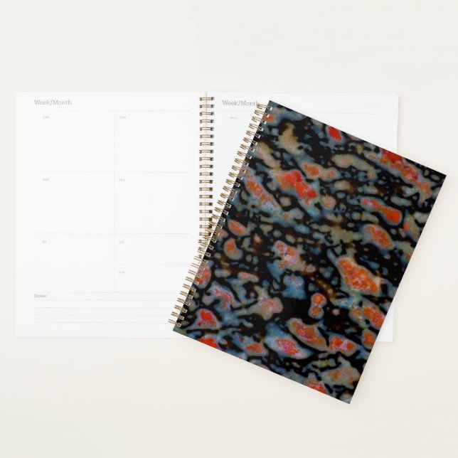 Colorful Petrified Dinosaur Bone Planner (Display)