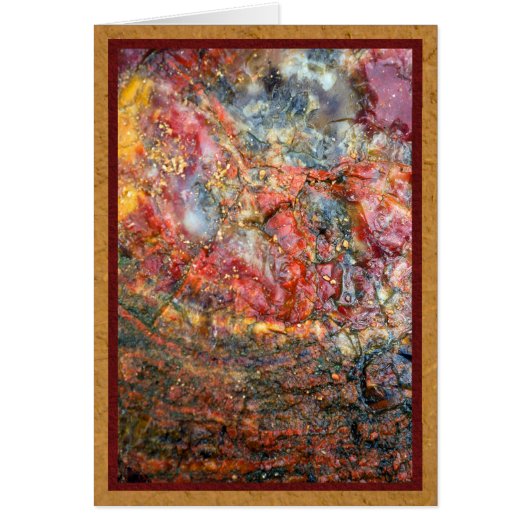 Colorful petrified wood (Front)