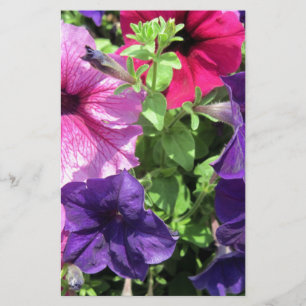 Colorful Petunias Stationery