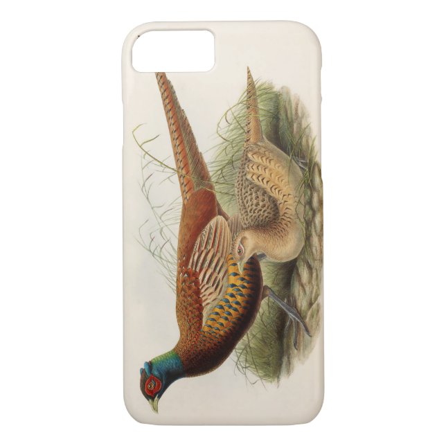 Colorful pheasant Case-Mate iPhone case (Back)