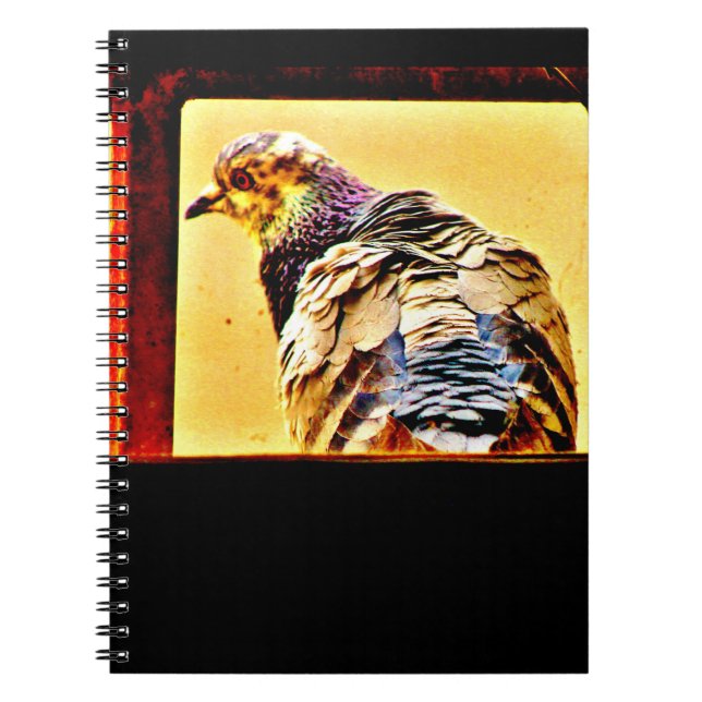 Colorful Pigeon Notebook (Front)