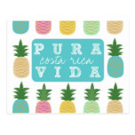 Colorful Pineapple Costa Rica Postcard Colorful Pineapple Costa Rica Postcard