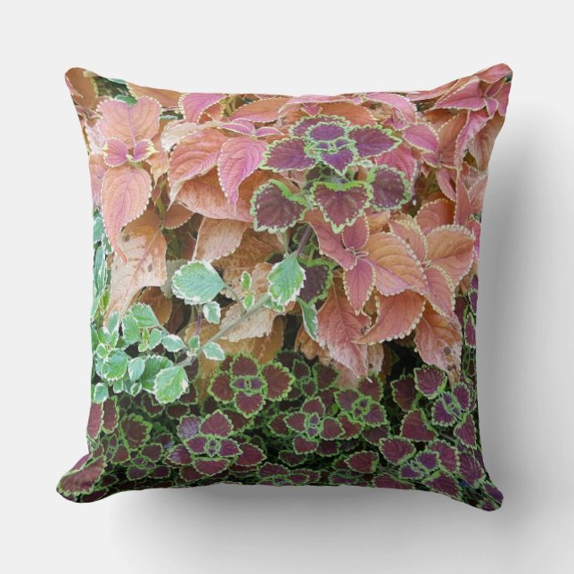 Colorful Pink Purple Green Coleus Plants Throw Pillow (Front)