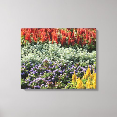 Colorful Plants Photo Wrapped Canvas Print