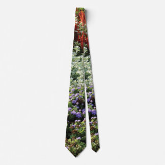 Colorful plants photographyTie Tie
