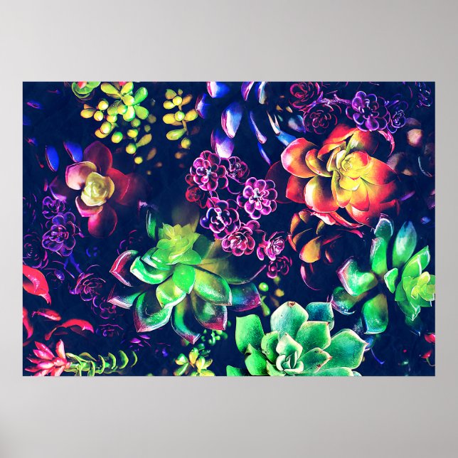 Colorful Plants Poster (Front)