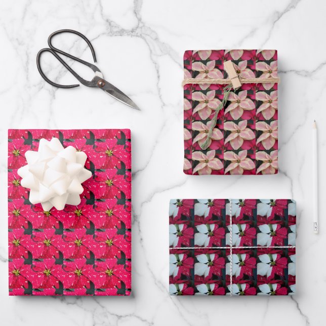 Colorful Poinsettias Floral Holiday Wrapping Paper Sheets (Front)