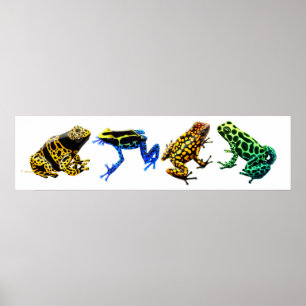 Colorful Poison Frogs Print