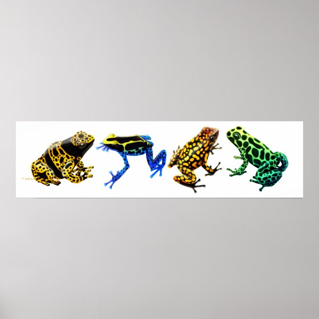 Colorful Poison Frogs Print (Front)
