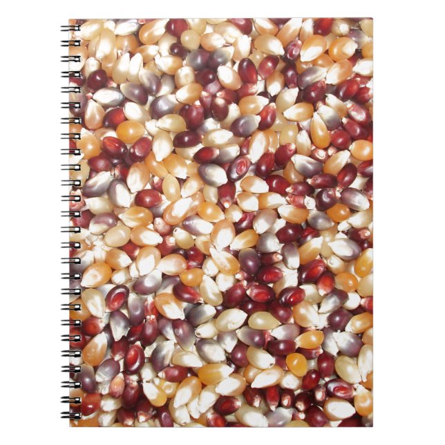 Colorful Popcorn Kernels Notebook (Front)