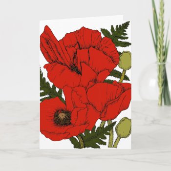 Colorful Poppies Blank Card