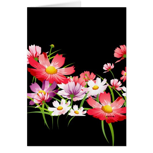 Colorful Poppies Cards (Front)