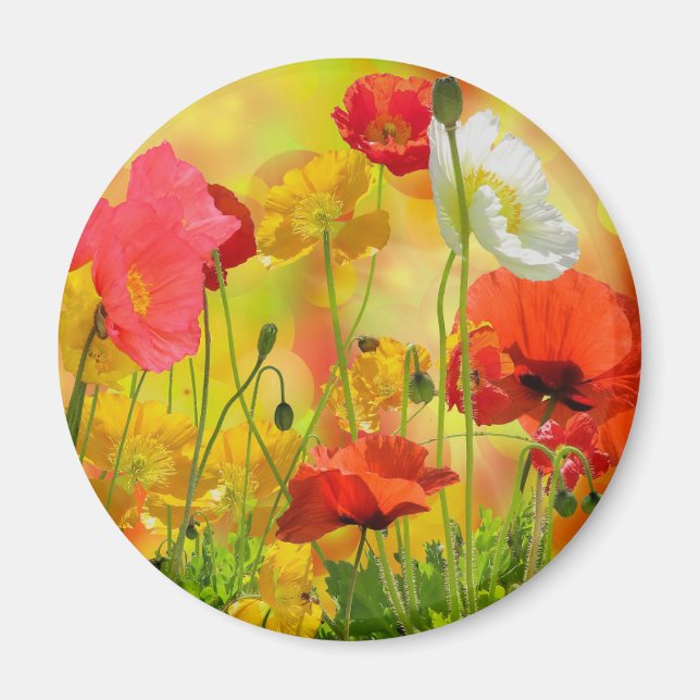 Colorful Poppies Magnet (Front)