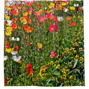 Colorful Poppy Field Shower Curtain by whatawonderfulworld at Zazzle