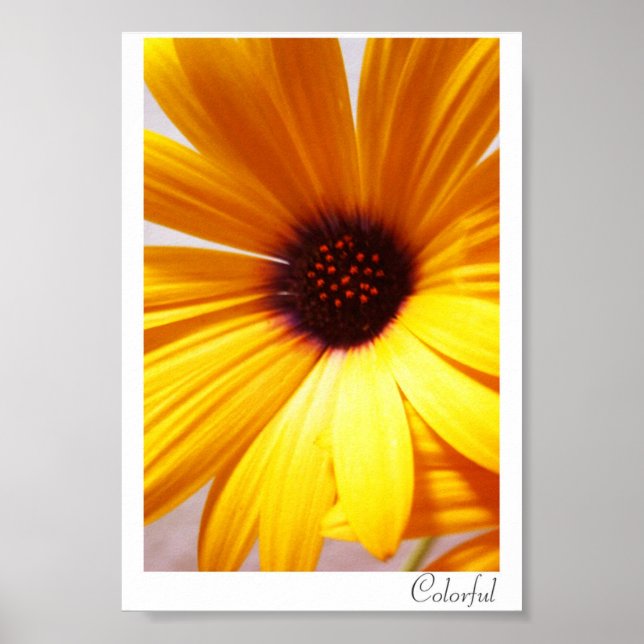 Colorful Poster (Front)