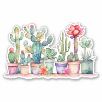 Colorful Potted Cacti And Succulents