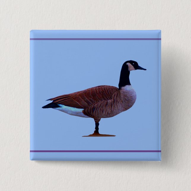 Colorful Pretty Goose Pin Button (Front)