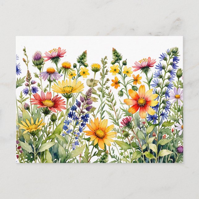 Colorful pretty wildflowers watercolor painting postcard (Front)