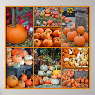 Colorful pumpkin collage poster