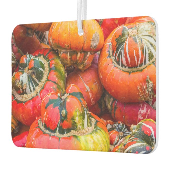 Colorful pumpkins air freshener (Left)