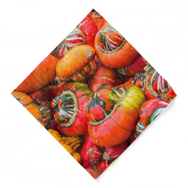 Colorful pumpkins bandana (Front)